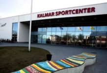 Elever guidar andra elever med utländsk bakgrund