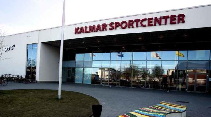 Elever guidar andra elever med utländsk bakgrund