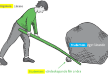 Vill du vara med i en forskningsstudie om värdeskapande lärande för studenter?